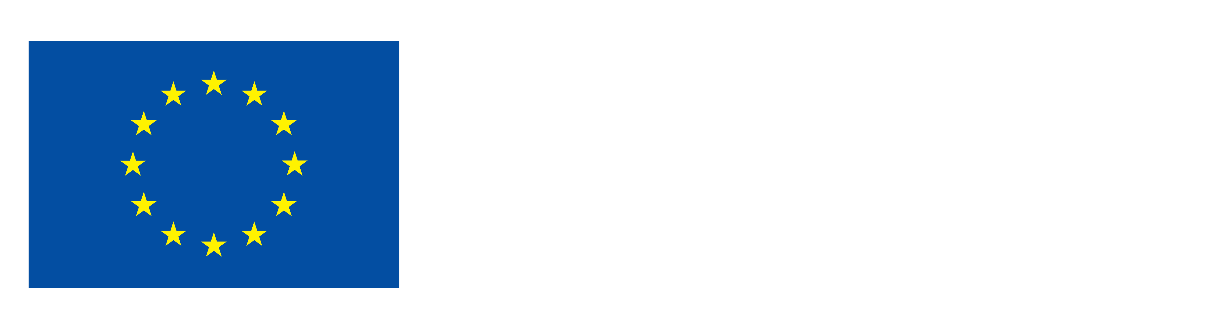 EN Funded by the European Union_NEG
